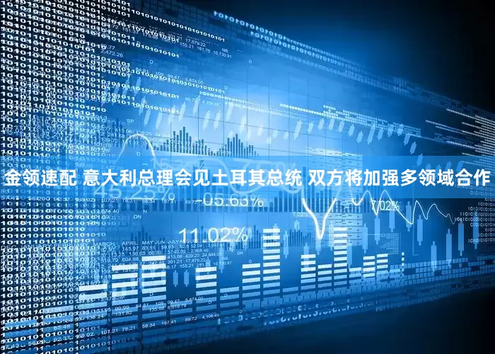 金领速配 意大利总理会见土耳其总统 双方将加强多领域合作