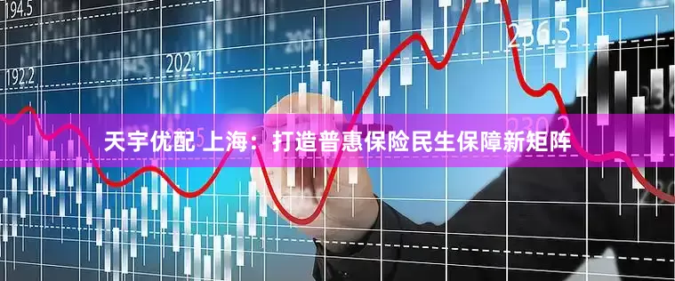 天宇优配 上海：打造普惠保险民生保障新矩阵