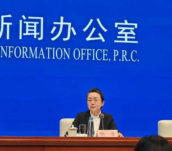 众诚速配 国家发展改革委：加快推进涉及服务保障等民营经济促进法配套制度