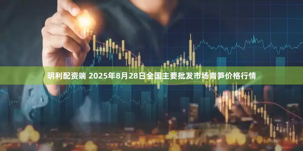 明利配资端 2025年8月28日全国主要批发市场青笋价格行情